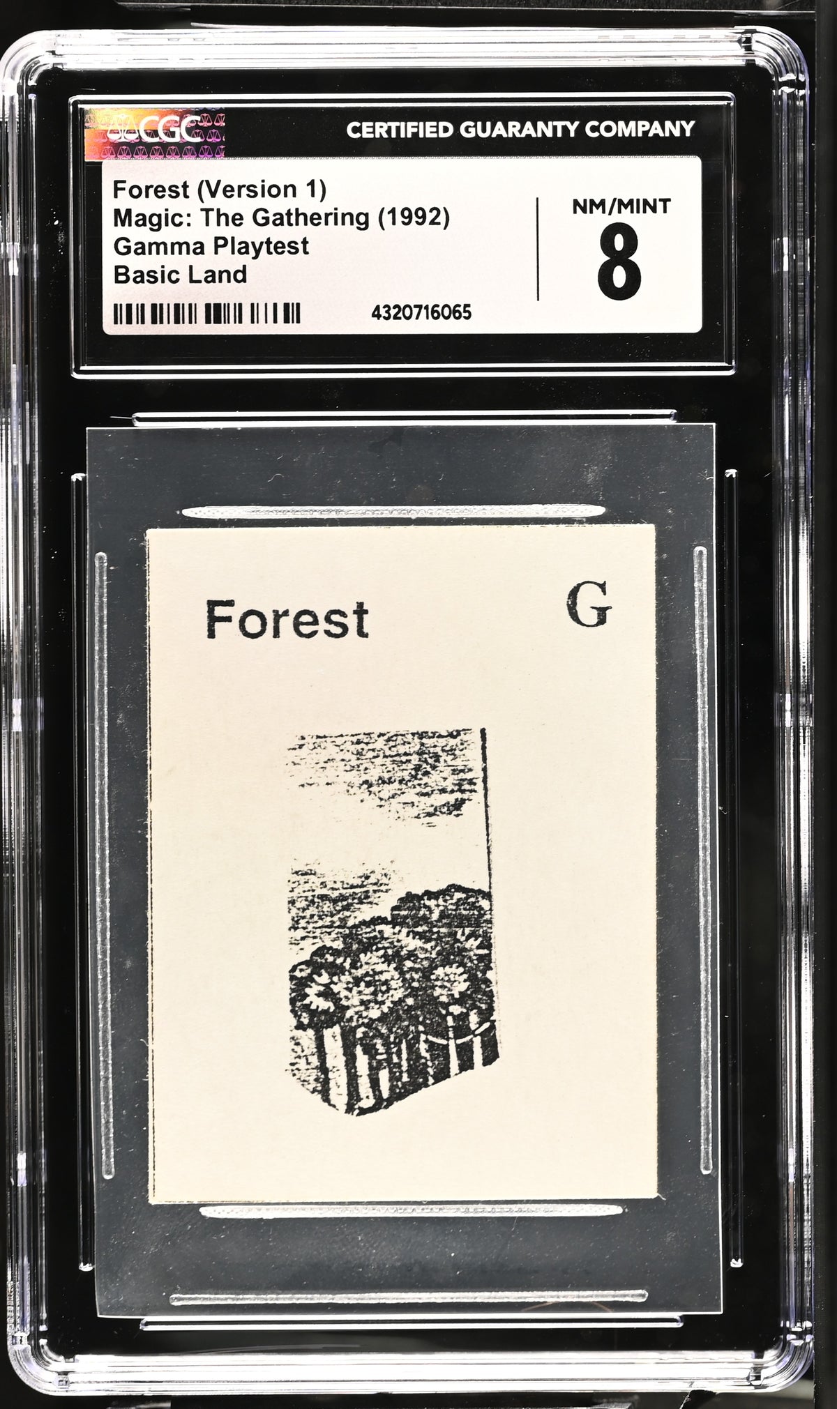 Forest (Version 1) | Gamma Playtest | CGC | NM/Mint 8 — front
