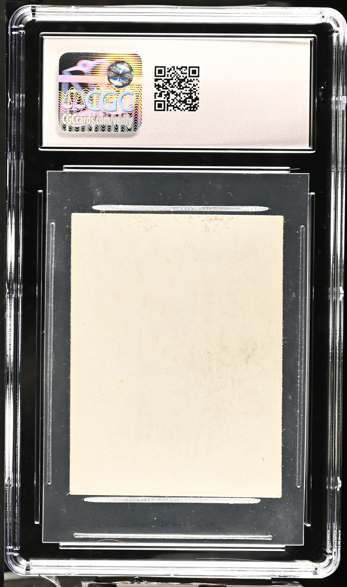 Forest (Version 1) | Gamma Playtest | CGC | NM/Mint 8 — reverse